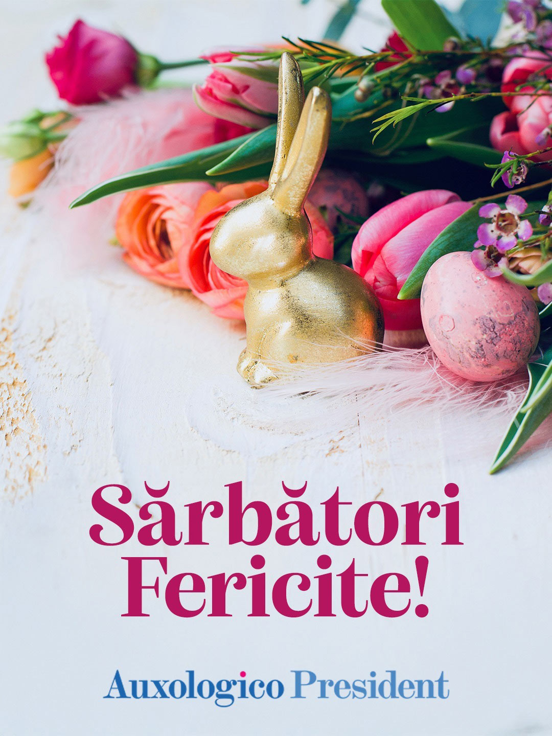 Spital Recuperare Baile Felix Oradea